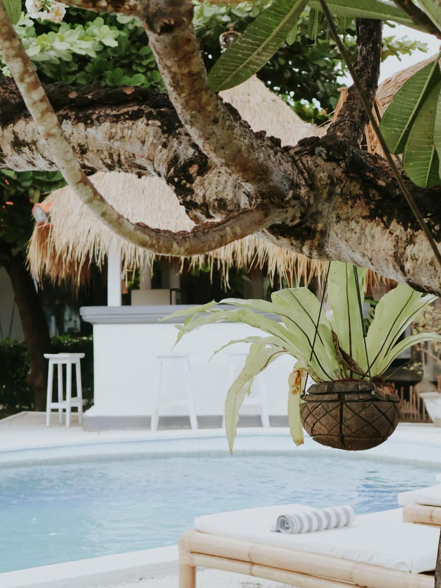 נוסה-למבונגן Oasis Boutique Villas מראה חיצוני תמונה